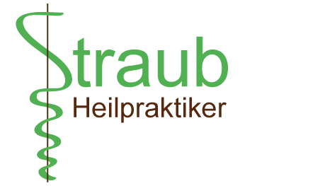 Logo BjörnStraubfinal